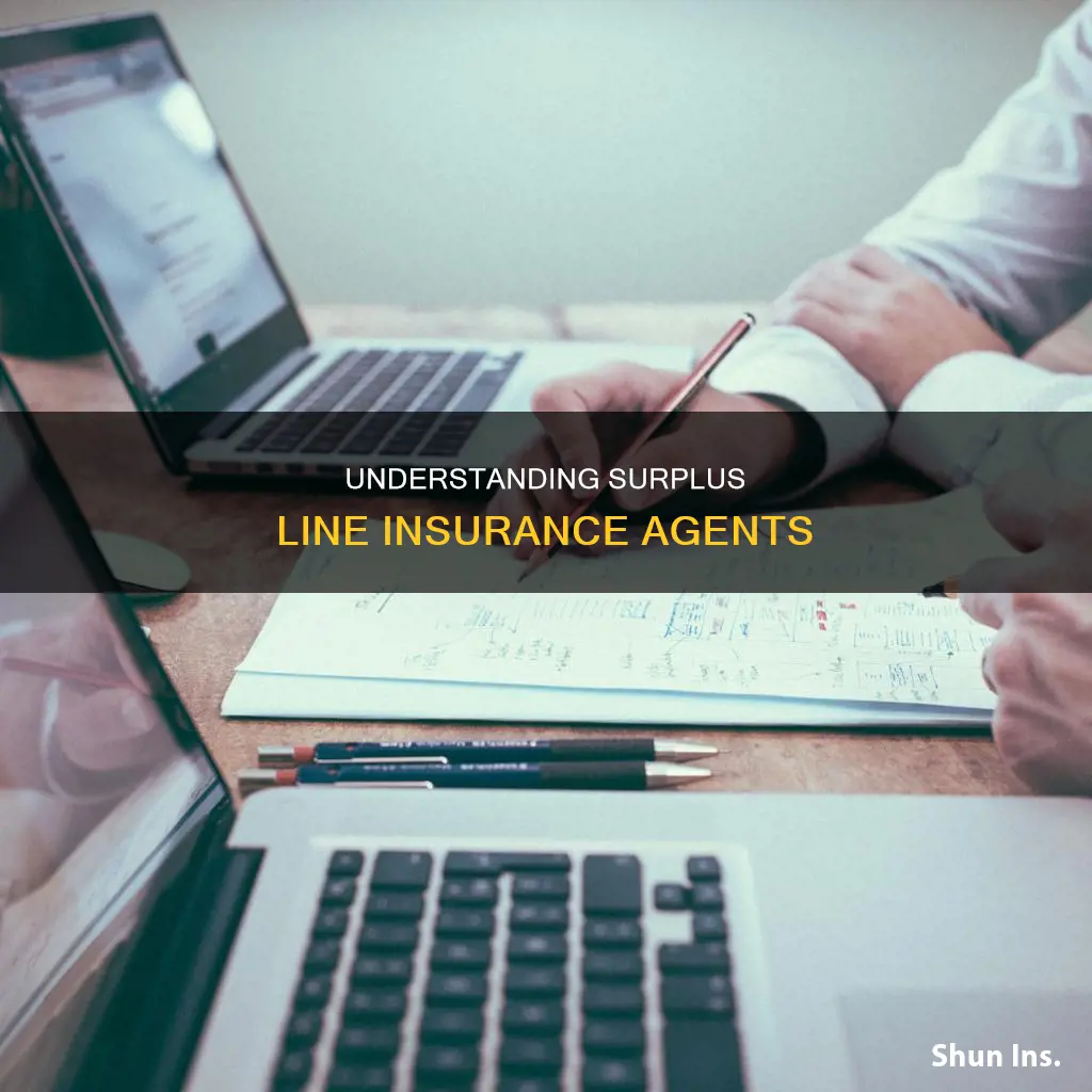 what is insurance surplus line agent