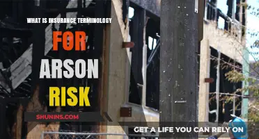 Understanding Insurance Terms: Arson Risk Explained