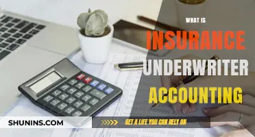 Insurance Underwriters' Accounting: A Complex Financial Balancing Act