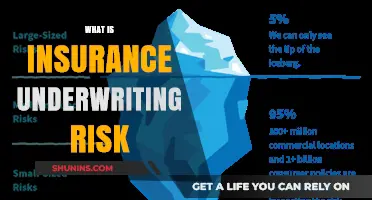 Understanding Insurance Underwriting Risks and Their Management