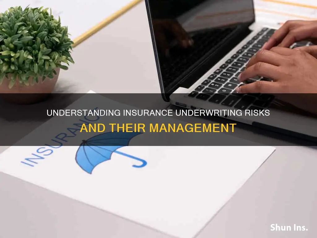 what is insurance underwriting risk