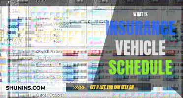 Vehicle Insurance Schedule: What's Covered?