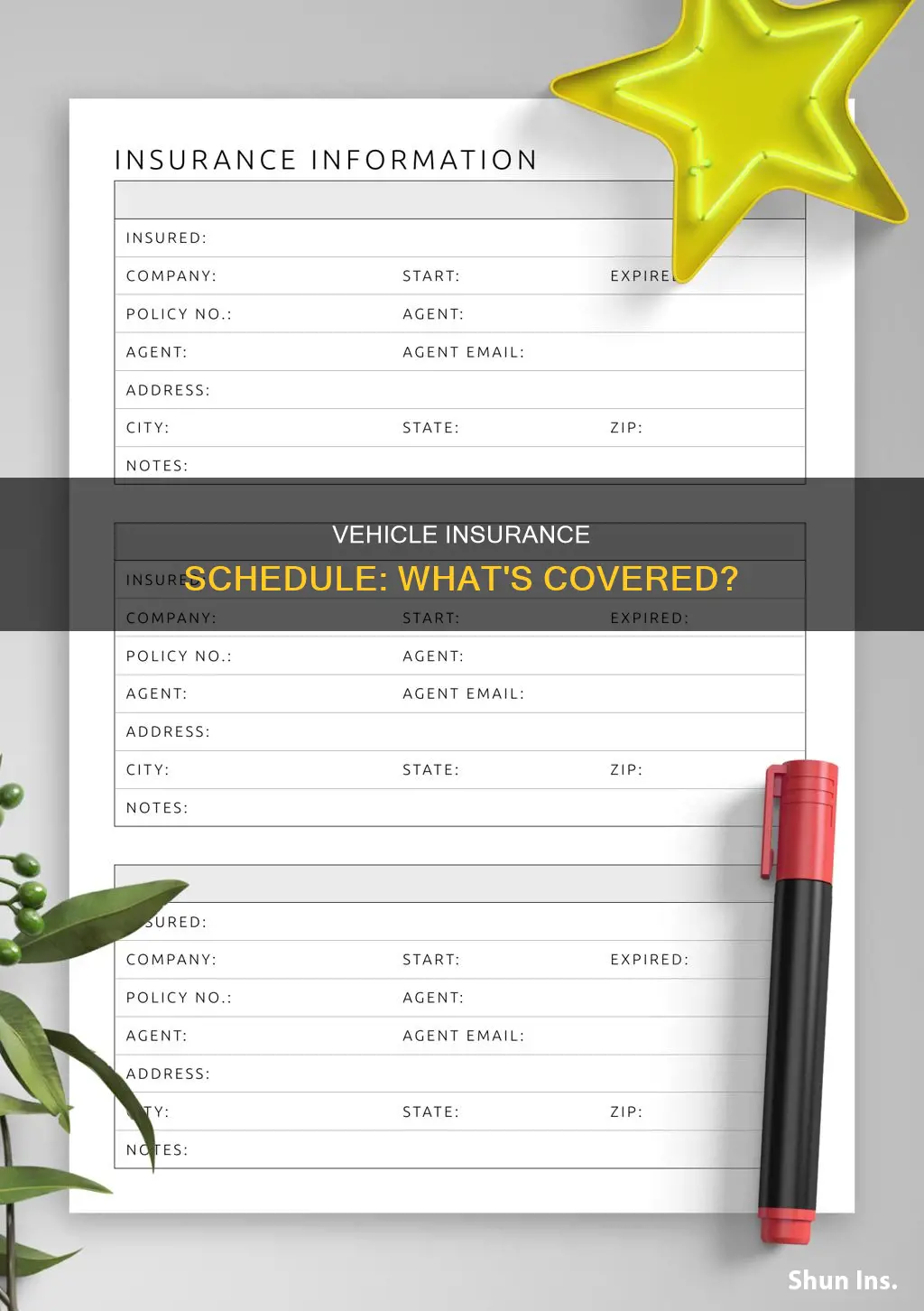 what is insurance vehicle schedule