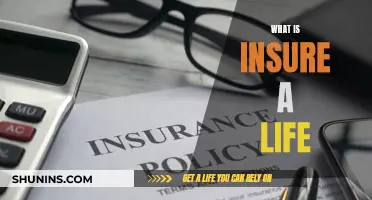 Insuring Life: Understanding the Basics of Coverage and Benefits