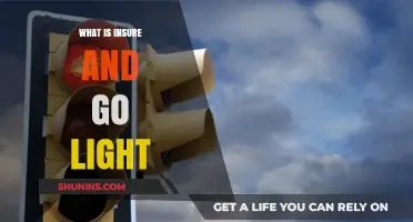 Insure and Go Light: What You Need to Know