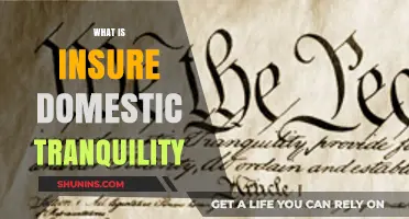 Understanding the Role of Insuring Domestic Tranquility in Society