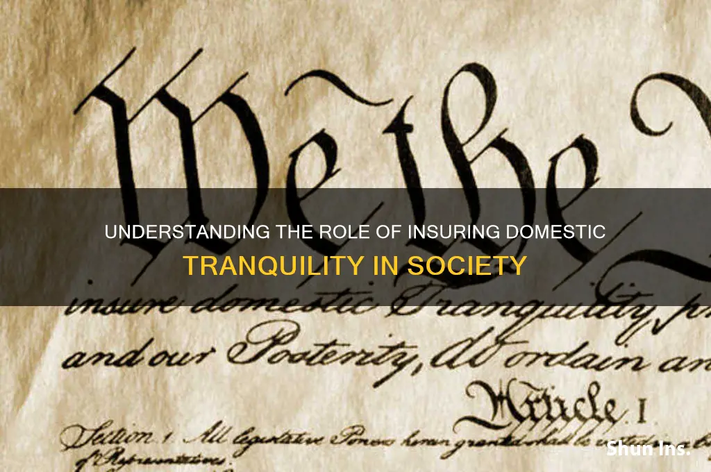 what is insure domestic tranquility