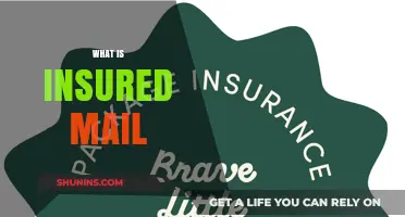 Understanding Insured Mail: Benefits, Costs, and How It Protects Your Shipments