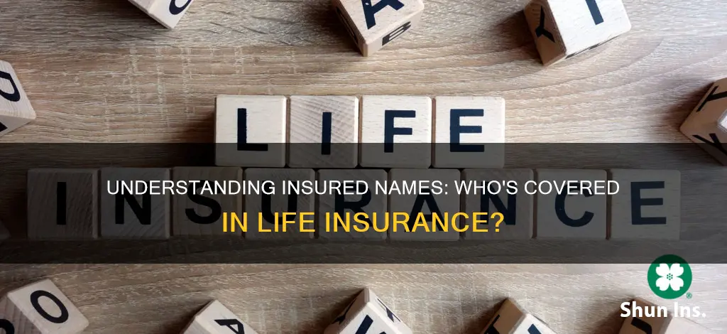 what is insured name in life insurance