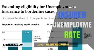 Understanding Unemployment Insurance and Its Impact
