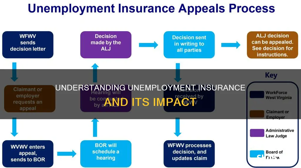 what is insured unemployment rate