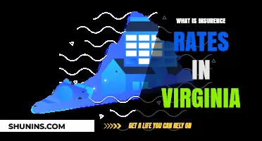Virginia Insurance Rates: What You Need to Know