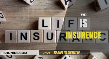 Understanding Insurance: What You Need to Know