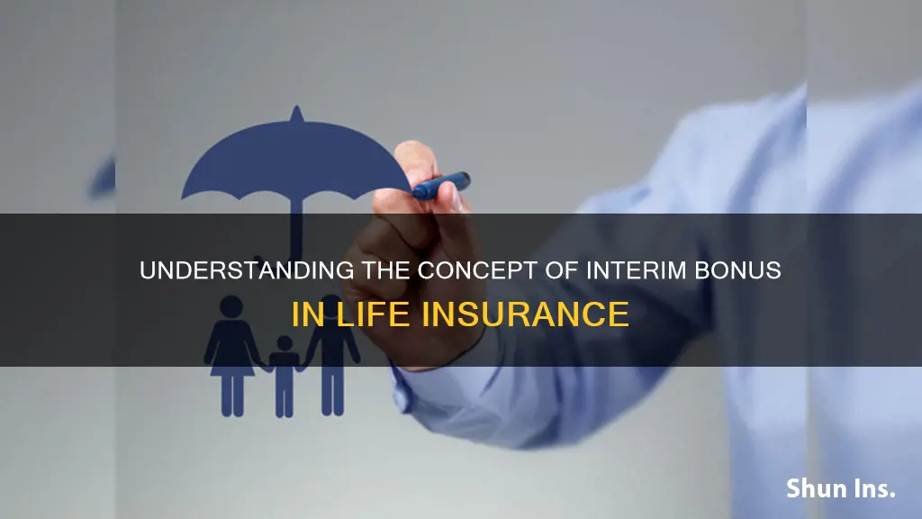 what is interim bonus in life insurance