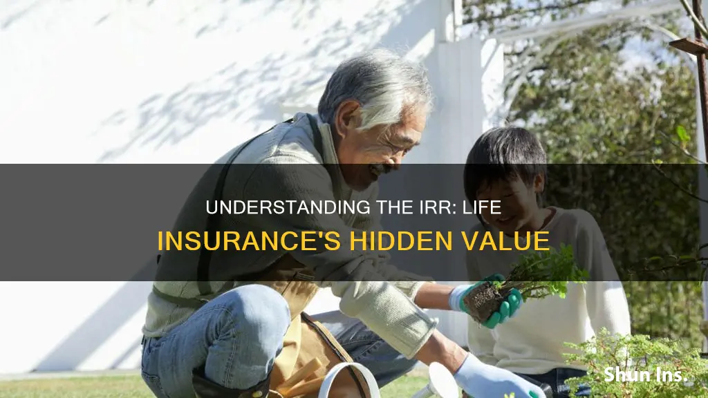 what is internal rate of return in life insurance