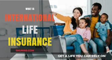 Understanding International Life Insurance: A Comprehensive Guide