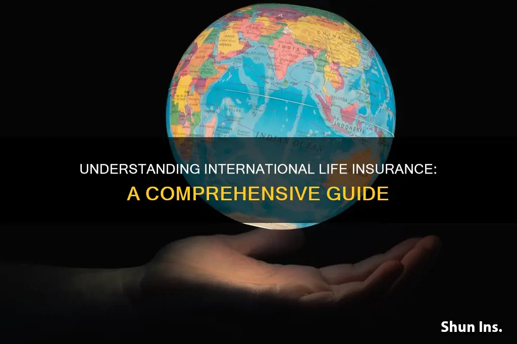 what is international life insurance