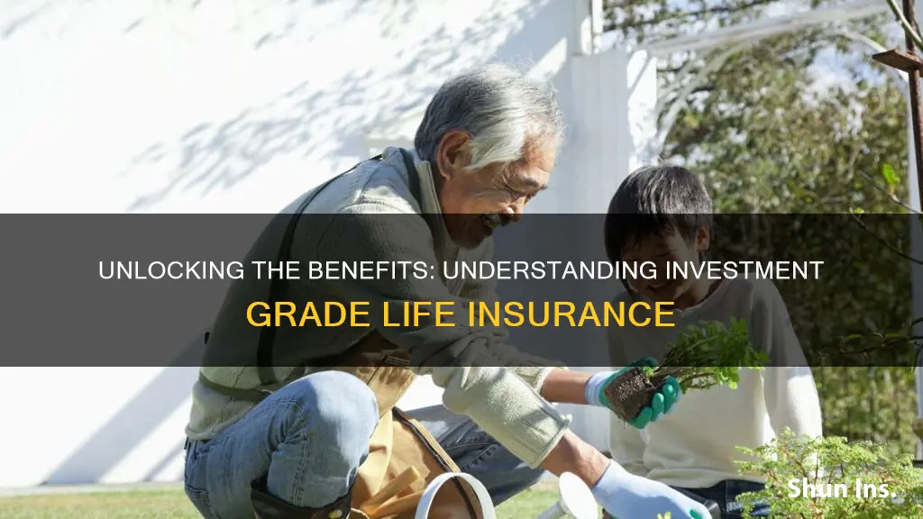 what is investment grade life insurance