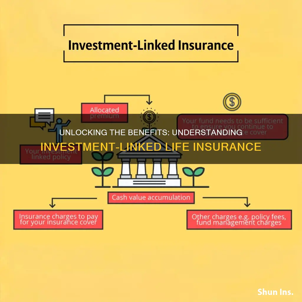 what is investment linked life insurance