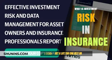 Understanding Insurance Investment Risk: A Guide