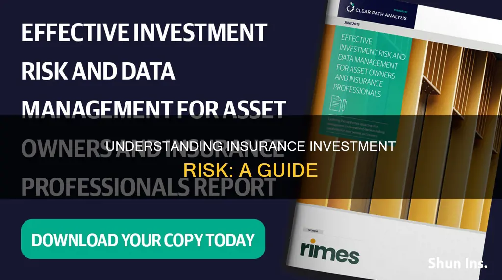 what is investment risk in insurance