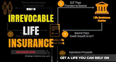 Understanding Irrevocable Life Insurance: A Comprehensive Guide