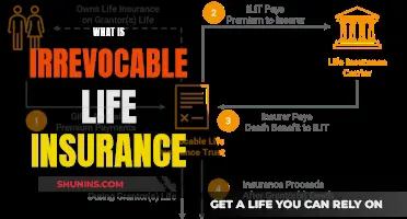 Irrevocable Life Insurance: Understanding the Unchangeable Policy