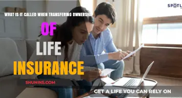 Understanding the Legal Process: Life Insurance Ownership Transfer