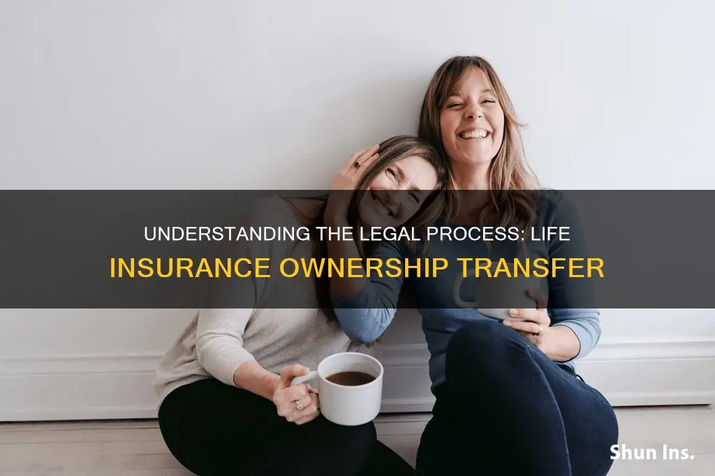 what is it called when transfering ownership of life insurance