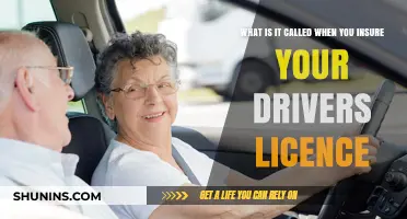 Insuring Your Driver's License: What's the Deal?