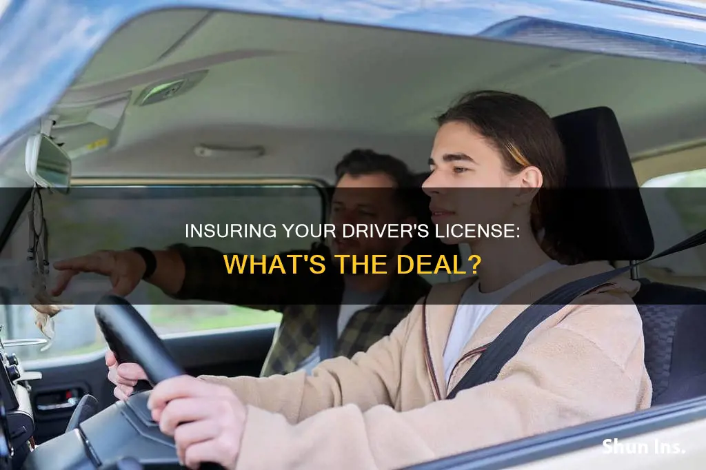 what is it called when you insure your drivers licence