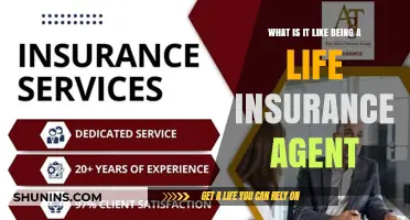 Unveiling the Reality: Life Insurance Agent's Daily Journey