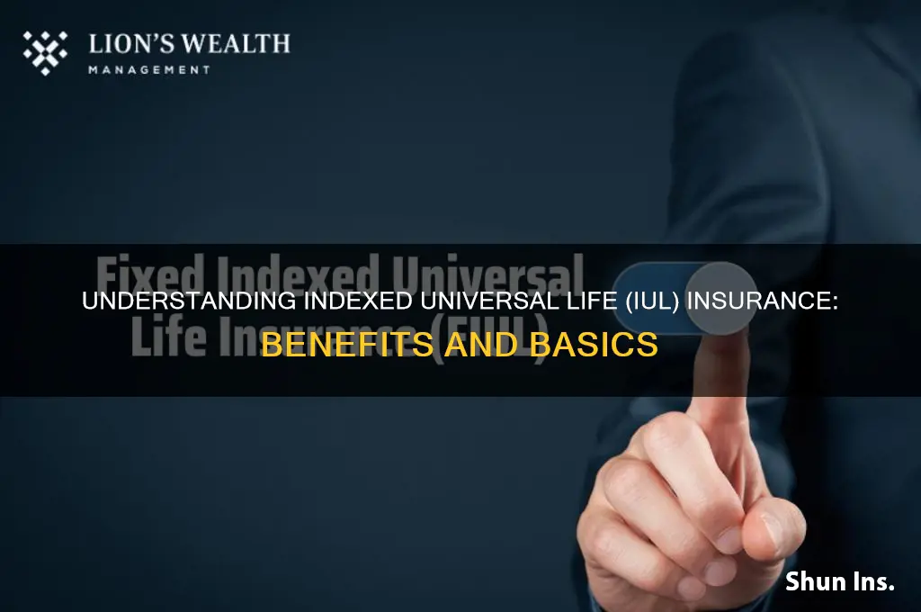what is iul in insurance