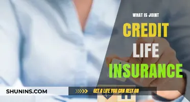 Understanding Joint Credit Life Insurance: A Comprehensive Guide