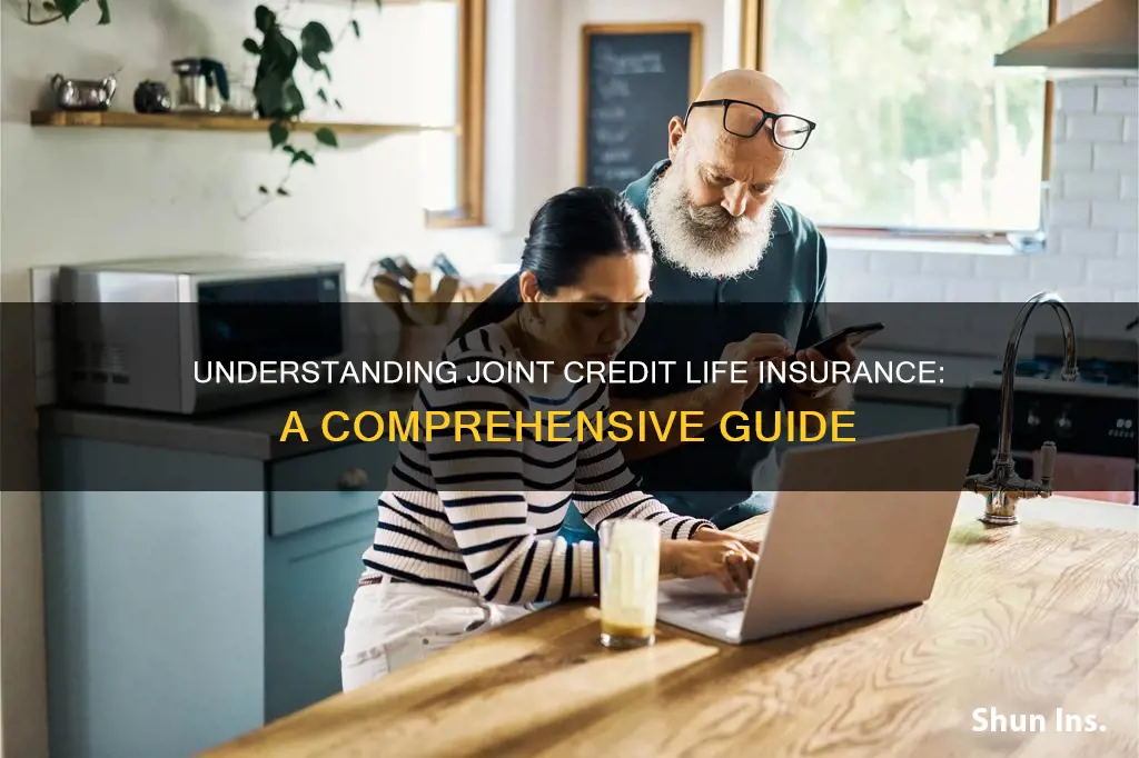 what is joint credit life insurance