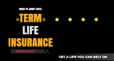 Understanding Joint Level Term Life Insurance: A Comprehensive Guide