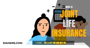 Joint Life Insurance: Protecting Your Loved Ones Together