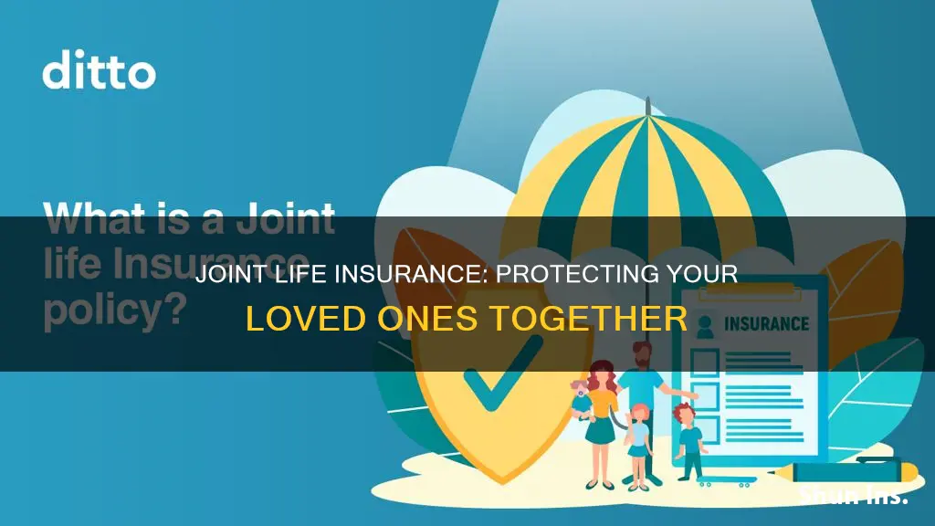 what is joint life insurance