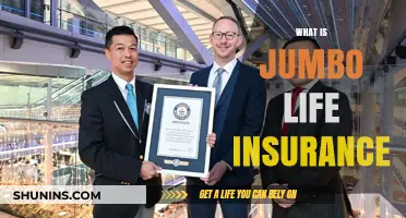 Unraveling Jumbo Life Insurance: A Comprehensive Guide