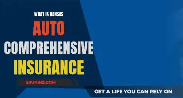 Auto Comprehensive Insurance: What Kansas Drivers Need to Know