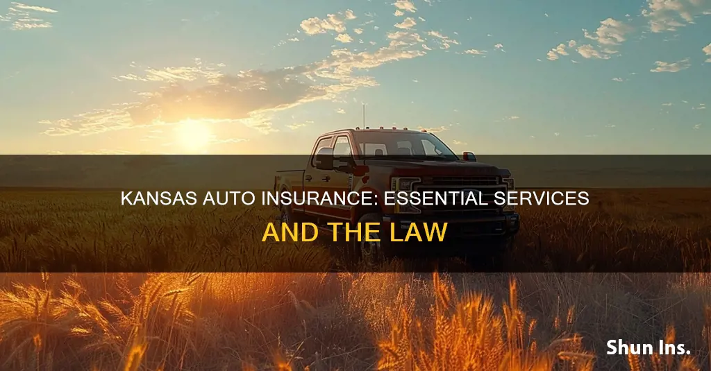 what is kanss law regarding essential services in auto insurance