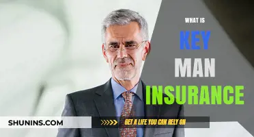 Understanding Key Man Insurance: Protecting Your Business's Most Valuable Asset