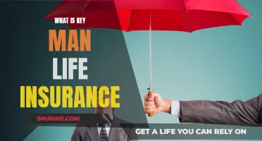 Key Man Life Insurance: Protecting Your Business's Future