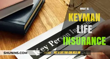 Understanding Keyman Life Insurance: A Comprehensive Guide