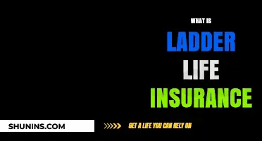 Understanding Ladder Life Insurance: A Comprehensive Guide