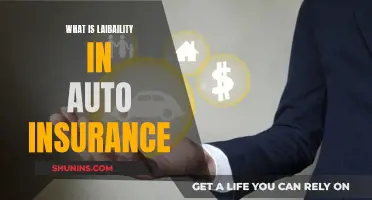 Auto Insurance Liability: What You Need to Know