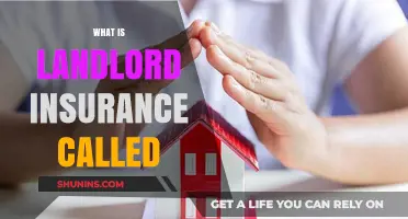 Understanding Landlord Insurance: What's the Deal?