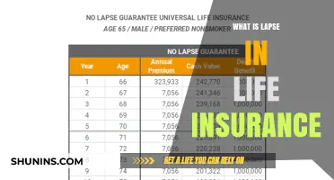 Understanding Life Insurance Lapse: Causes and Solutions