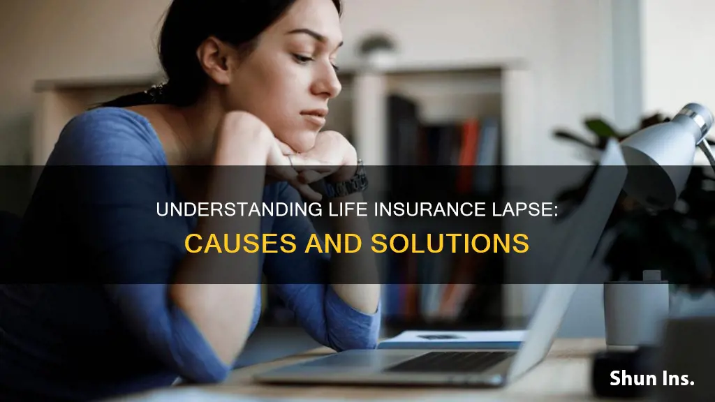 what is lapse in life insurance