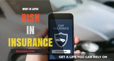 Understanding Lapse Risk: Insurance Policy Termination